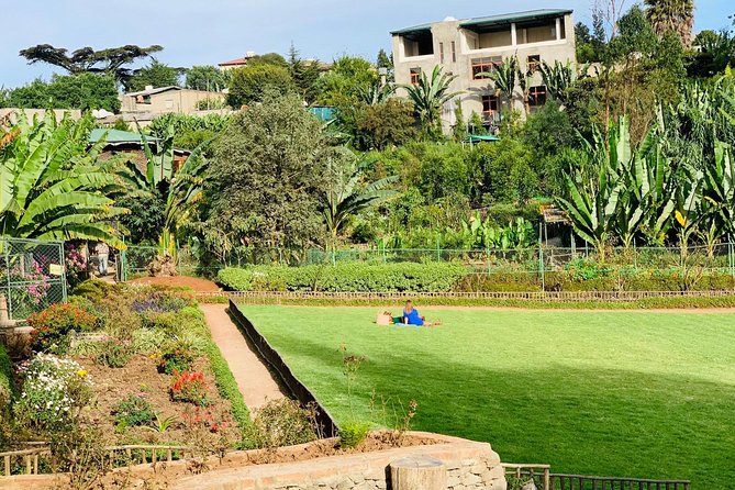 Walking Tour of Addis Abeba - Discover Addis the Authentic way - Meskel Square finish, seating, sights, and street food time